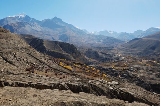 Mountain valley in autumn with yellowed trees at an altitude of 4000 meters near the Muktinath