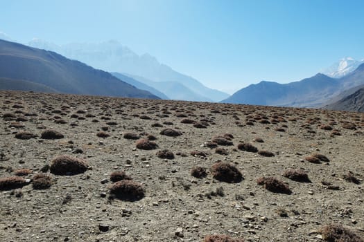 Mountain stony plateau with islands of vegetation with snow-capped mountains in a haze on the background