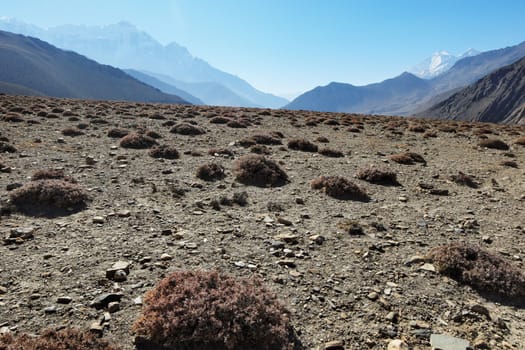 Mountain stony plateau with islands of vegetation with snow-capped mountains in a haze on the background