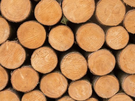 Stacked wooden trunks