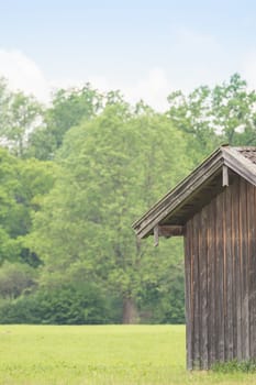 Corner of a hut on a green meadow