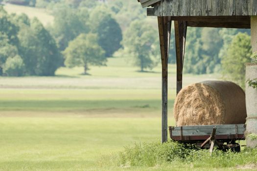 Hay bales on a trailer on a green meadow