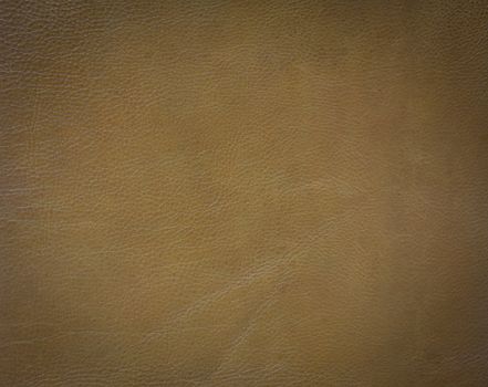  brown leather texture background 