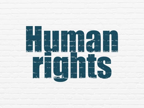 Politics concept: Painted blue text Human Rights on White Brick wall background