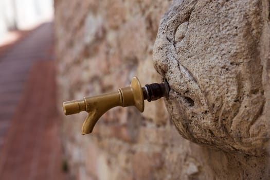 detail of an ancient fountain in Assisi (Italy)