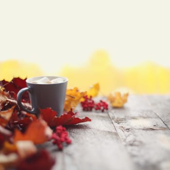 Autumn dried maple leaves and mug of cocoa with marshmellows on wooden table