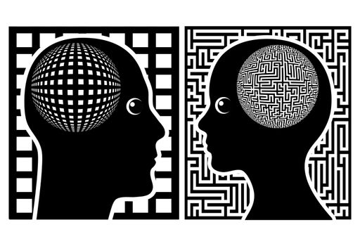 Male and female brains process information in different ways