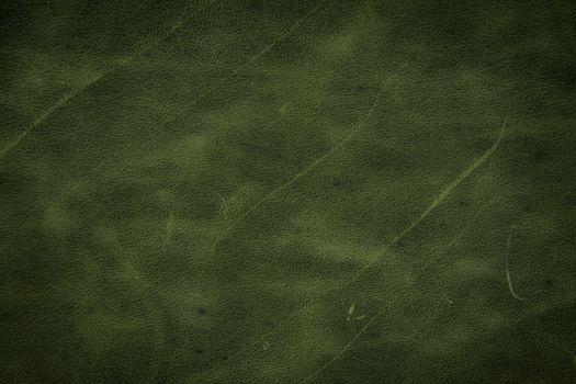 green leather texture background 