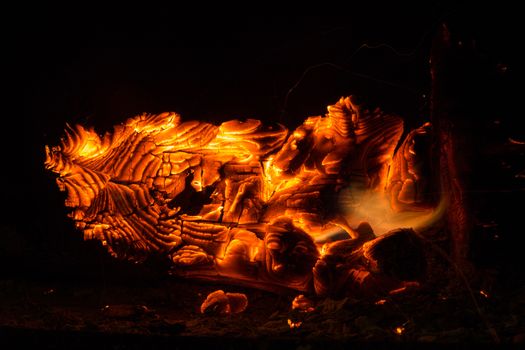 View of the fireplace with burning wood