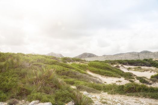 Dunes of Cala Mesquida, Mallorca near the sea