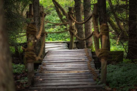 A small wooden bridge in the forest
