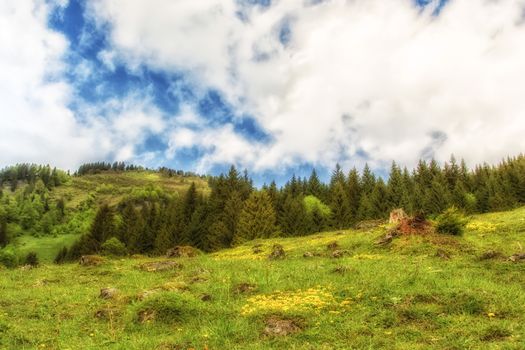 A green meadow on a mountain with blue sky and clouds