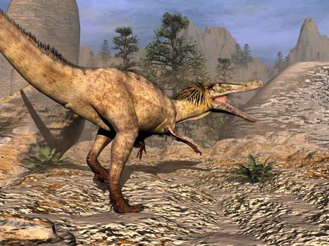 Austroraptor dinosaur walking in the desert by sunset -3D render
