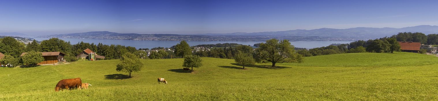 Zurich canton lake and andscape by day, Switzerland