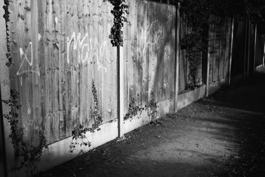 Quite back alley with creeper plants and graffiti on the fence, in black and white