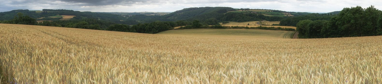 Landscape of Eifel area close to Bitburg, Germany, Europe