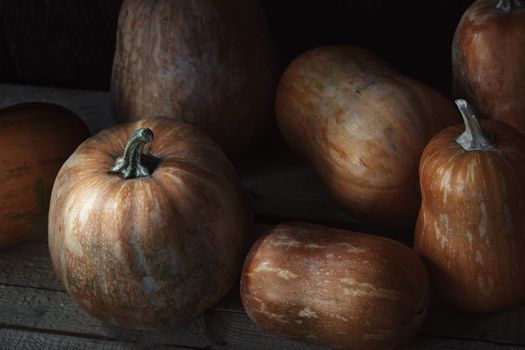 Group of pumpkins on a wooden table. High angle view