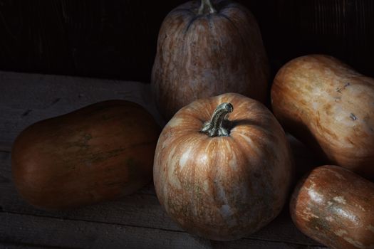 Group of pumpkins on a wooden table. High angle view