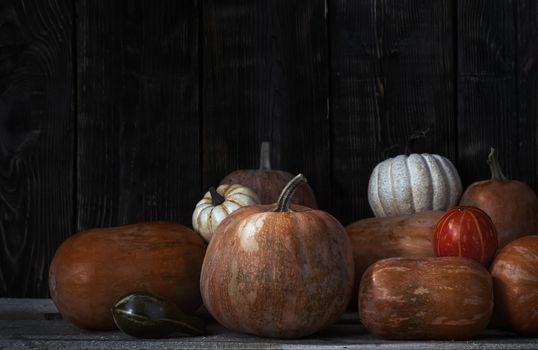 Stack of pumpkins after harvesting in rural place