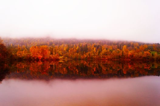 Autumn in Norway in a foggy day