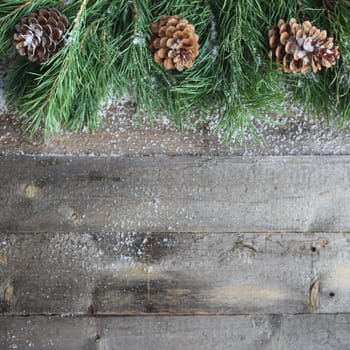 Christmas card on wooden background with snow and fir tree branch with pine cones. View with copy space