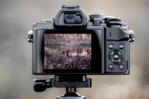 Back of a camera with picture in the display