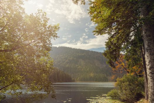 A beautiful landscape scene at the lake great arber, Bavaria