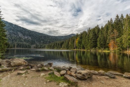 View at the lake great arber, Bavaria