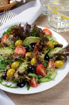 Summer salad - with avocado, olives, tomatoes in lettuce dressed, mustard-garlic sauce