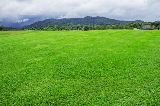 Lawn on the hill with sky of background.