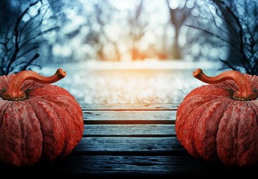 Pumpkin on wooden with garden background.