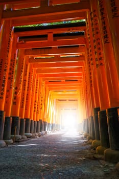 Fushimi Inari Taisha torii shrine, Kyoto, Japan