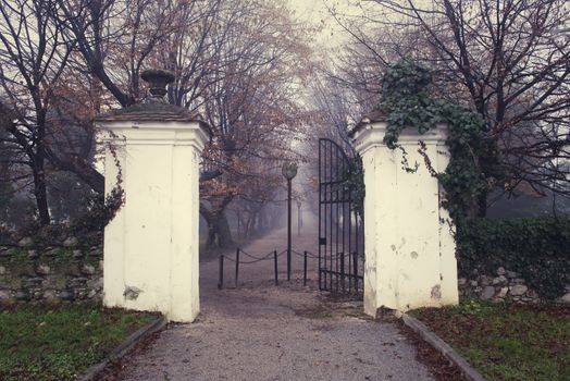 Central alley vintage entrance with towers and iron gates on a foggy autumn day, park Slovenska Bistrica, Slovenia