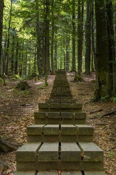 Planked trail through primeval forest leading from Osankarica lodge to the black lake - Crno jezero on Pohorje, Slovenia