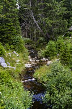 The creek flows out of Crno jezero (Black lake) and the water is colored brown to black due to the turf