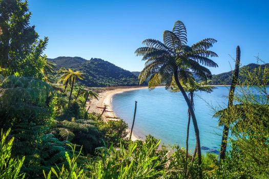 Abel Tasman National Park. White sand bay and turquoise sea. New Zealand