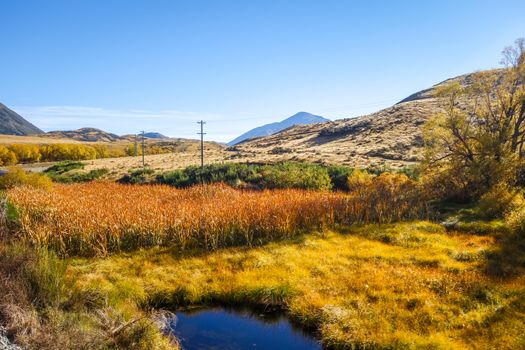 Mountain fields landscape in New Zealand alps