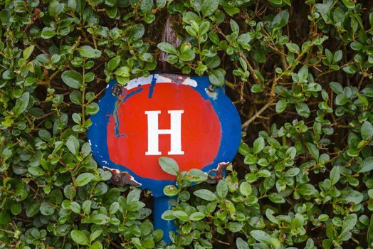 Water valve or hydrant sign plate, white H letter on red and blue in green hedge