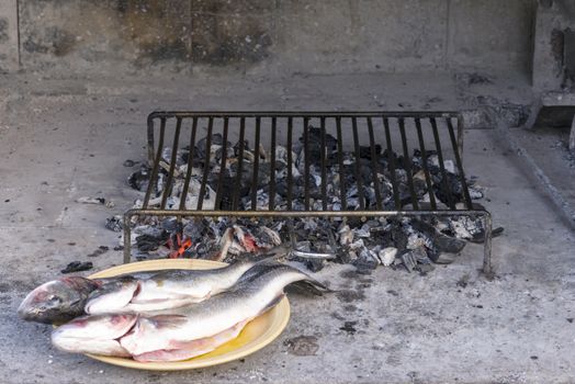 Sea bass grilled the traditional Dalmatian way on steel grill bars on hard wood embers