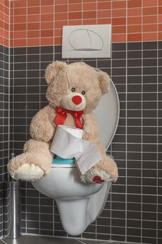 Toy teddy bear sitting on WC toilet bowl in bathroom, holding a roll of toilet paper, family care, early childhood, early childhood, potty toilet training - teaching