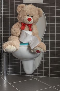 Toy teddy bear sitting on WC toilet bowl in bathroom, holding a roll of toilet paper, family care, early childhood, early childhood, potty toilet training - teaching