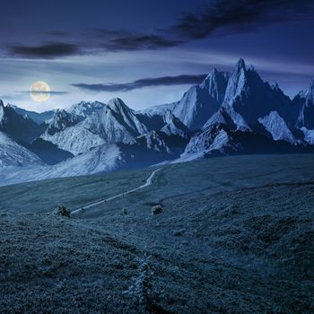 grassy slopes and rocky peaks composite. gorgeous summer landscape with magnificent mountain ridge over the pleasing green meadows. lovely surreal fantasy scenery at night in full moon light