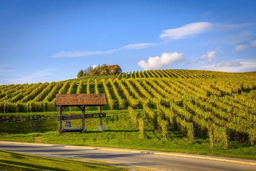 Winery Zlati gric, Slovenske Konjice, Slovenia, tourism and wine