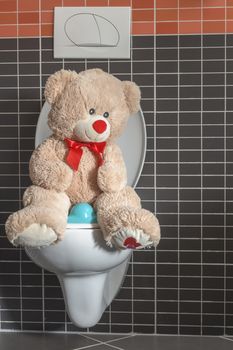 Toy teddy bear sitting on WC toilet bowl in bathroom, early childhood, potty toilet training - teaching
