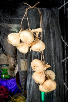 a bunch of dried garlic close-up in a witch's lair