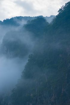 The cliffs covered with forests are shrouded in thick white fog