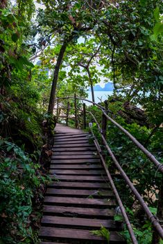 wooden bridge path in asia amongst trees, Thailand