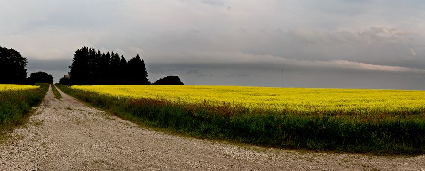 Storm Clouds Canada rural countryside Prairie Scene