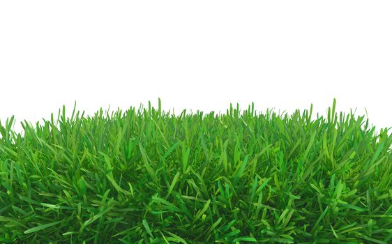 green grass piece isolated on white background. 3d rendering