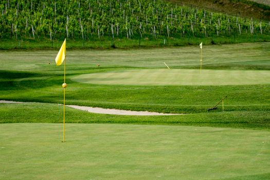 Golf course in vineyards with two greens and yellow flag posts and bunker in between, amon in olimje, Slovenia